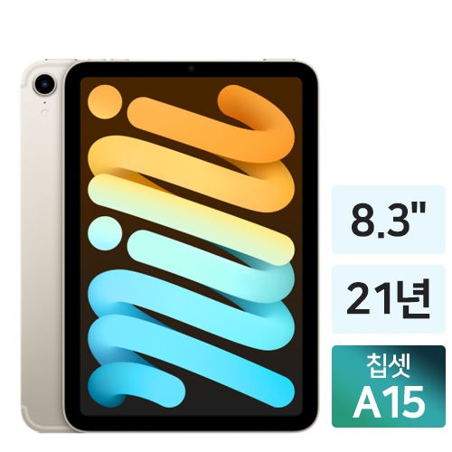 APPLE 2021 iPad mini 6세대 Cellular 제품 사진