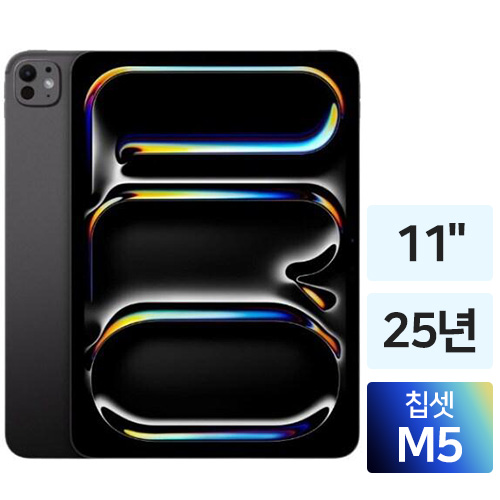 APPLE 2025 iPad Pro 11 M5 Cellular 제품 사진