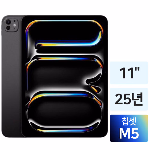 Apple iPad Pro 11 M5 · Wi‑Fi / 256GB 제품 사진
