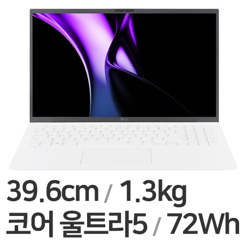 LG 그램15 15Z90S-GA50K · 16GB/256GB