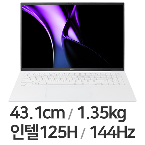 LG 그램17 17Z90S-GA5CK · 16GB/256GB